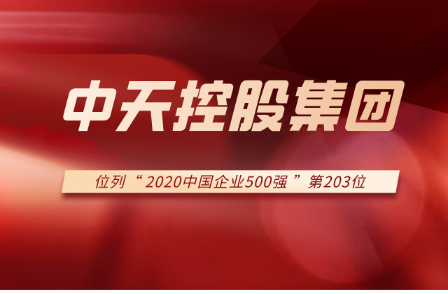 豪运国际集团列2020中国企业500强第203位！